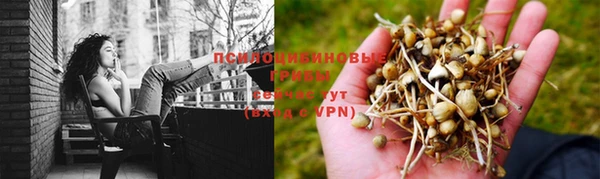 прущие крисы Алексин