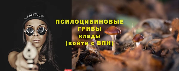 прущие крисы Алексин