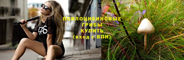 тгк Алексеевка