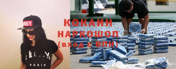хмурый Абаза