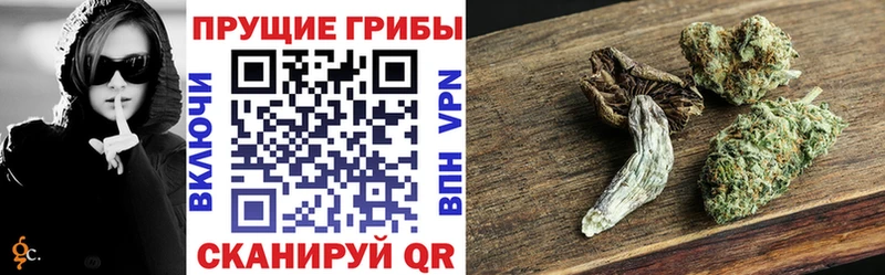 ОМГ ОМГ ссылка  Энгельс  Галлюциногенные грибы мицелий 
