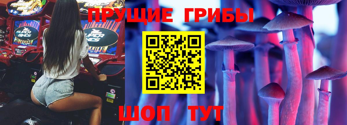 Энгельс  Псилоцибиновые грибы MAGIC MUSHROOMS  Вход с VPN 