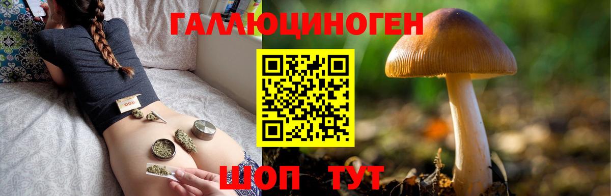 Псилоцибиновые грибы Cubensis Энгельс